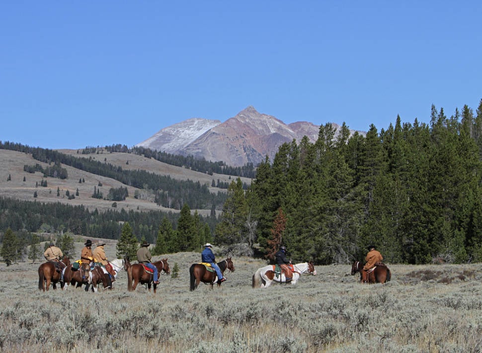 Best time for Horseback Riding in Yellowstone National Park