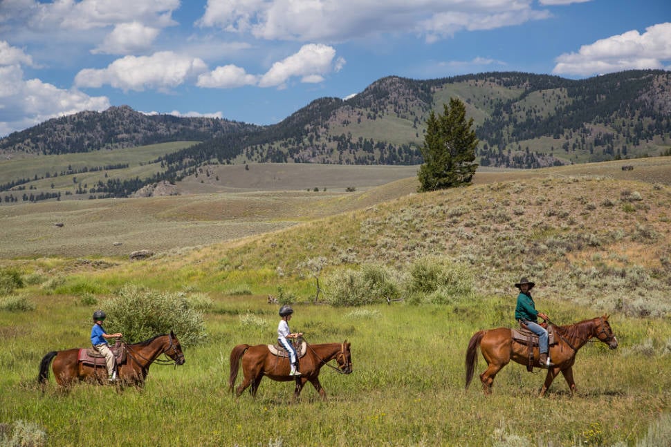 Horseback Riding in Yellowstone National Park - Best Time