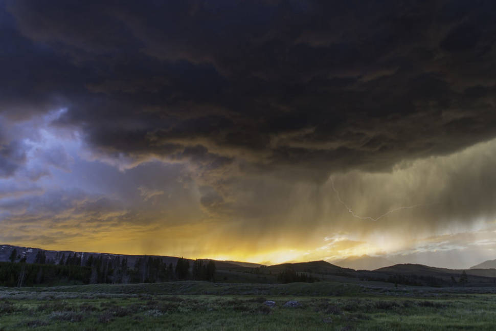 Spring in Yellowstone National Park - Best Time