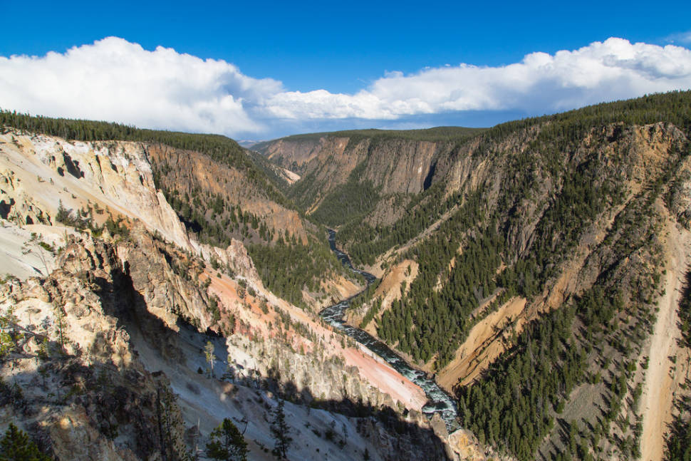 Summer in Yellowstone National Park - Best Season