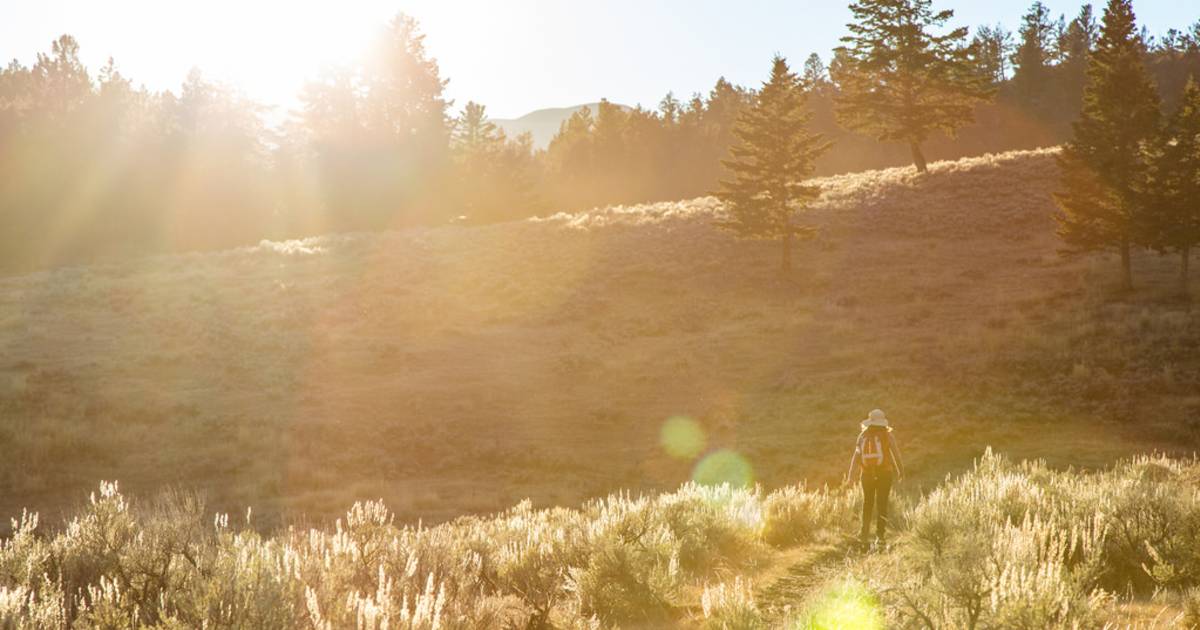 Summer in Yellowstone National Park - Best Time