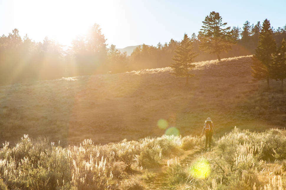 Summer in Yellowstone National Park - Best Time