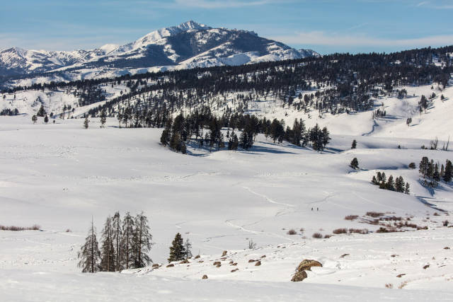 Winter in Yellowstone National Park - Best Season
