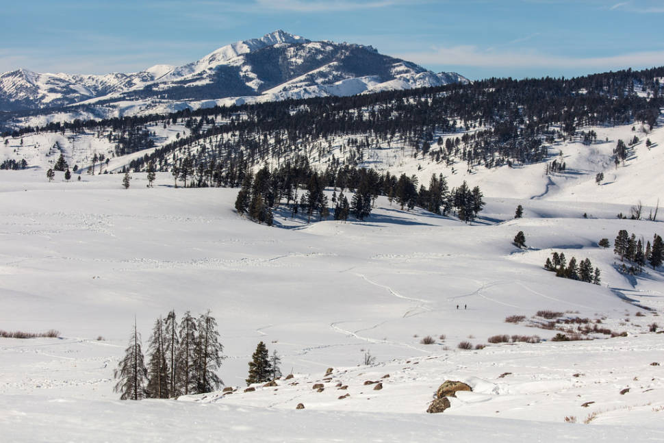 Winter in Yellowstone National Park - Best Season