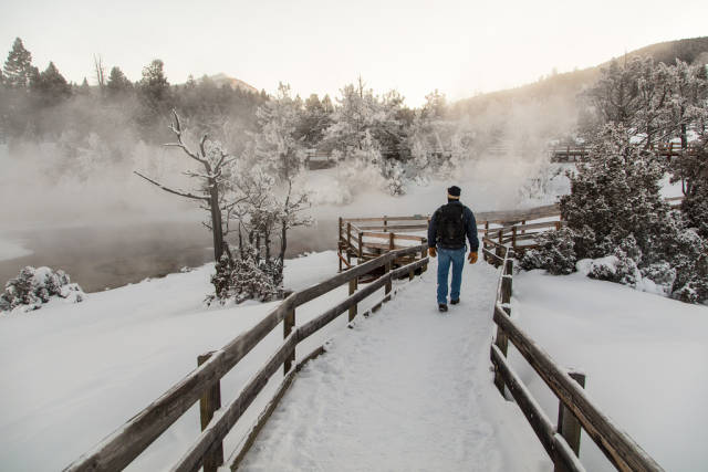 Winter in Yellowstone National Park - Best Time