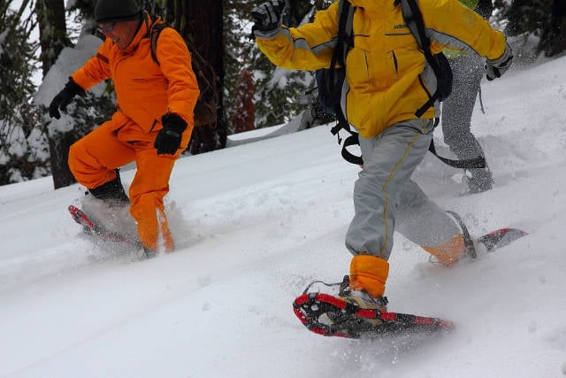 Snowshoeing in Mariposa grove