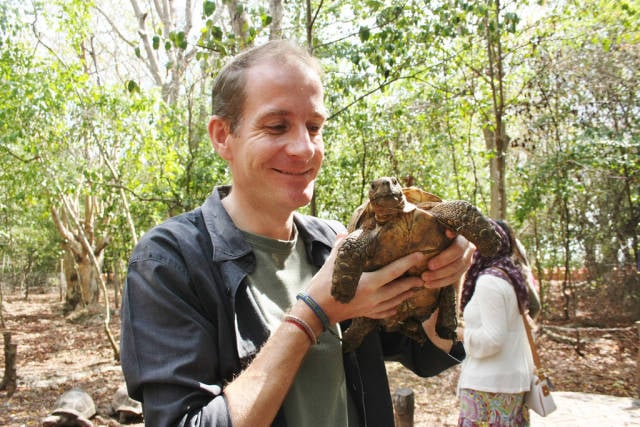 Baby Giant Tortoises on Prison Island in Zanzibar - Best Season