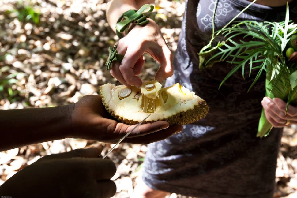 Breadfruit and Jackfruit in Zanzibar - Best Season