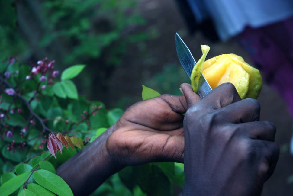 Carambola (Birimbi, Star Fruit) in Zanzibar - Best Season