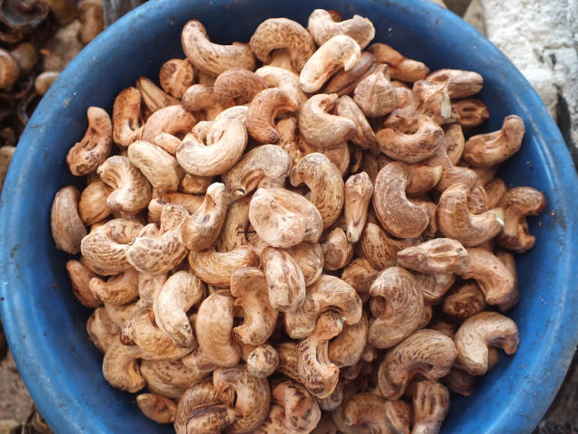Cashew in Zanzibar - Best Season