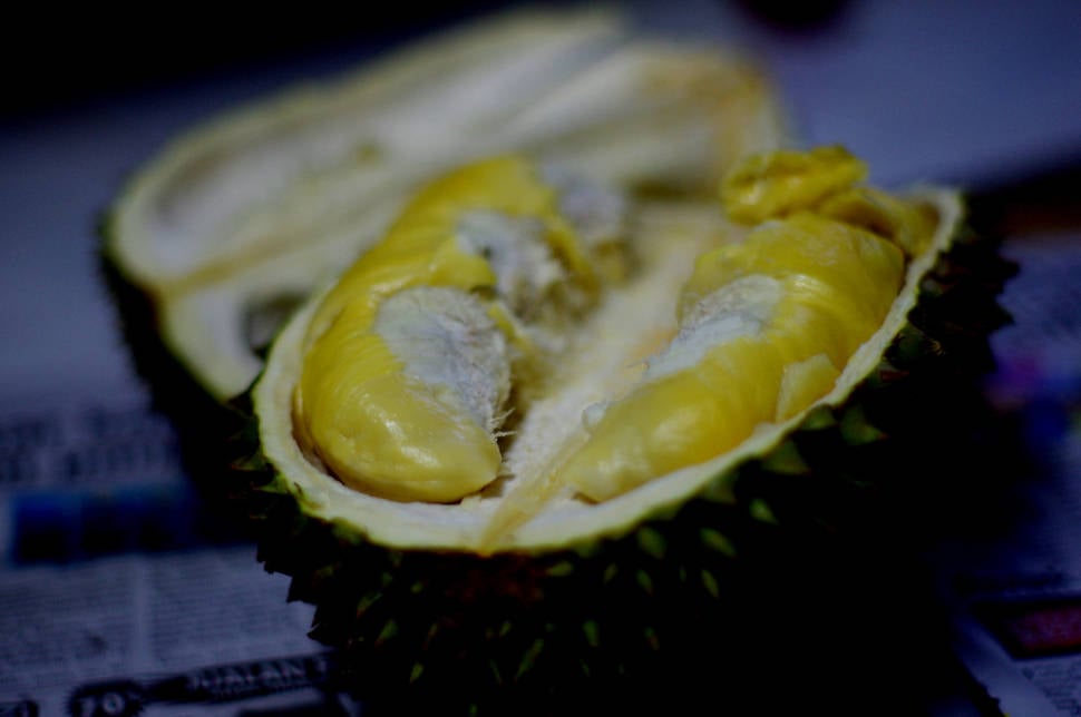 Durian in Zanzibar - Best Season
