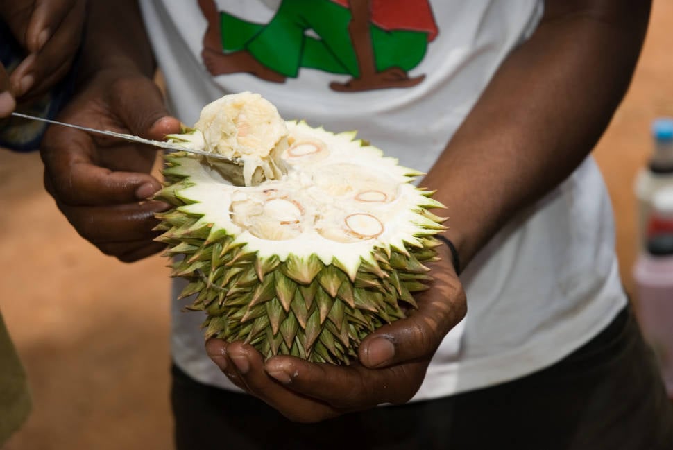 Durian in Zanzibar - Best Time