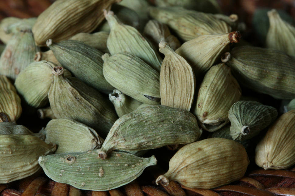 Green Cardamom Harvest in Zanzibar - Best Time