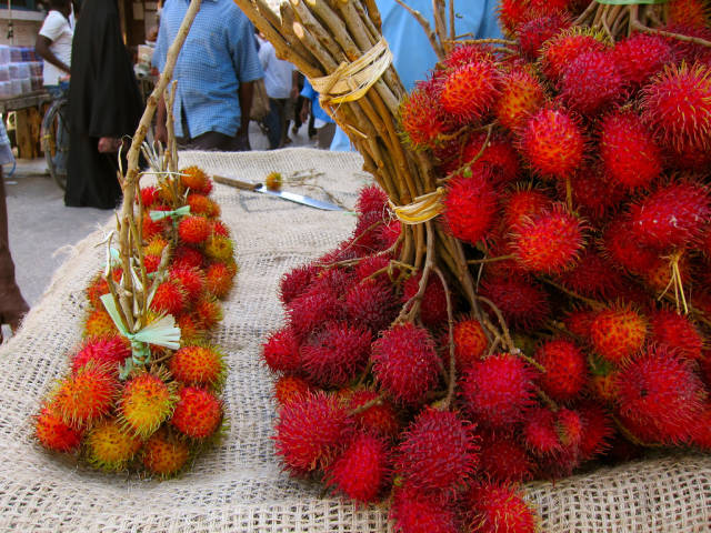 Shoki Shoki (Rambutan) in Zanzibar - Best Time