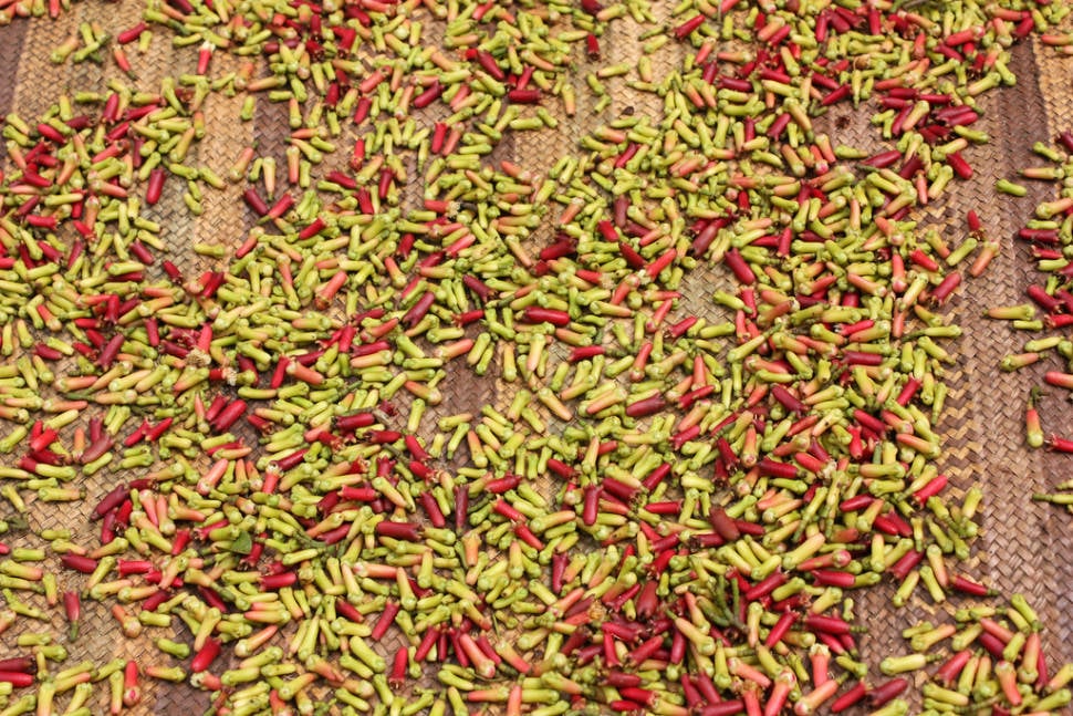 Ched Follow Cloves Drying