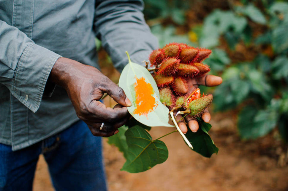 Spice Harvest and Tours in Zanzibar - Best Season