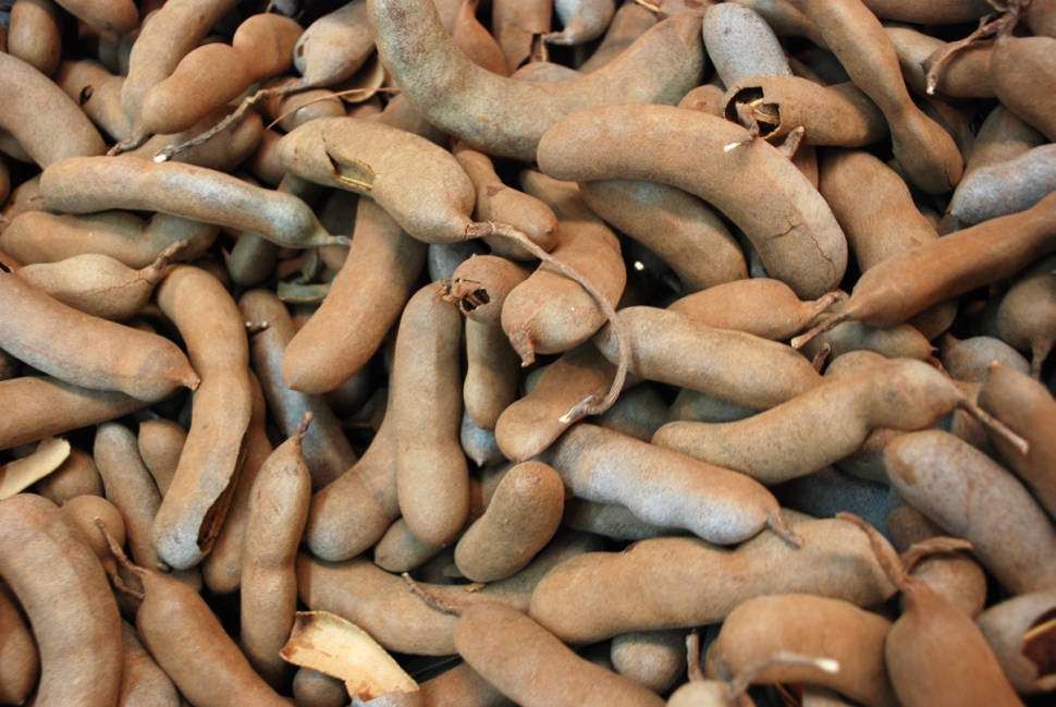 Tamarind in Zanzibar - Best Time